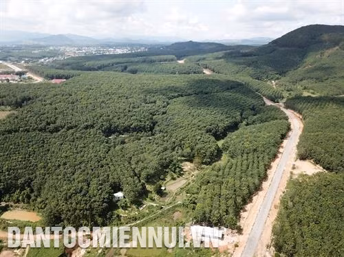 来到玉回县各偏远山区乡，处处都看到橡胶树林的绿色以及绿油油、果实累累的咖啡树园。记者 黄河 摄