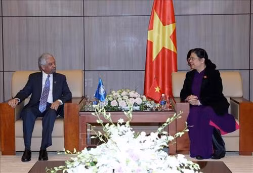 越南国会副主席丛氏放会见联合国驻越协调员 图自越通社 越南国会副主席丛氏放会见联合国驻越协调员 图自越通社