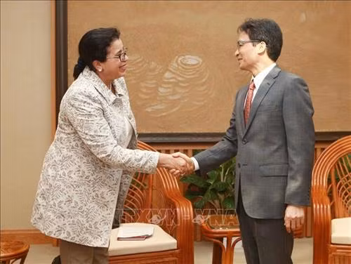 武德儋副总理会见IAEA副总干事莫赫塔。图自越通社 武德儋副总理会见IAEA副总干事莫赫塔。图自越通社