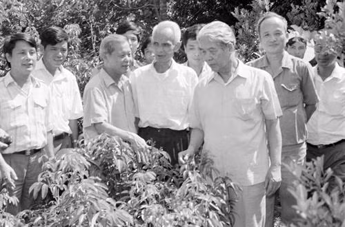 越共中央总书记杜梅1994年9月走访慰问北江省陆岸县周(Chũ)镇一户经济模范家庭。越通社记者 春林 摄 越共中央总书记杜梅1994年9月走访慰问北江省陆岸县周(Chũ)镇一户经济模范家庭。越通社记者 春林 摄