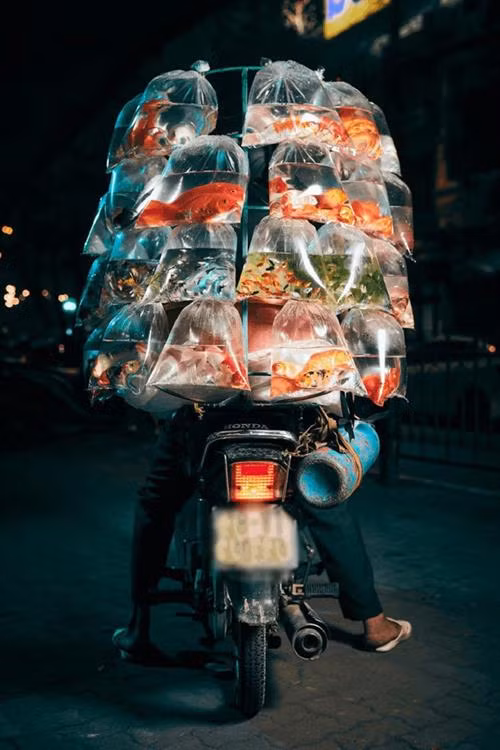 《越南街上卖观赏鱼的小贩》作品。图自互联网 《越南街上卖观赏鱼的小贩》作品。图自互联网