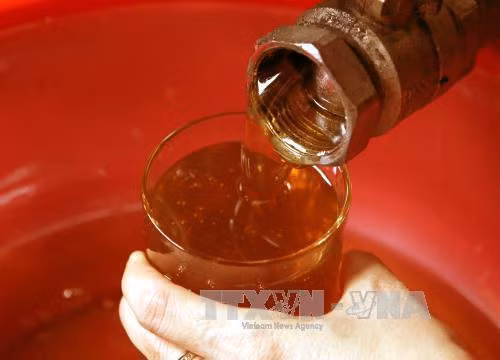 越南蜜蜂产品。（图片来源：越通社）