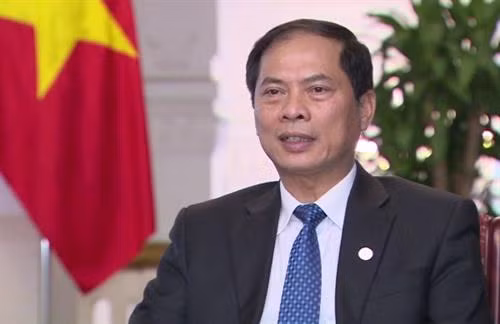 越南外交部常务副部长裴青山。图自互联网