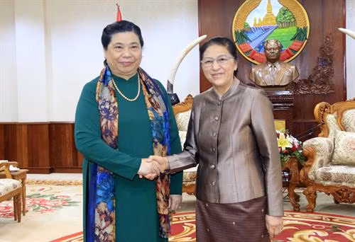 越南国会副主席丛氏放（左）和老挝国会主席巴妮·雅陶都（右）。（图片来源：越通社）