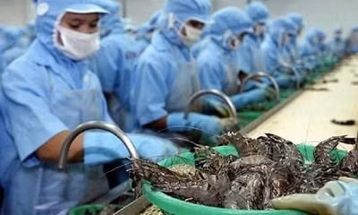 附图。图自互联网 附图。图自互联网