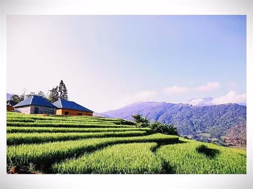 老街省八杀县伊子乡已成为颇受国内外游客欢迎的旅游景点。图自互联网 老街省八杀县伊子乡已成为颇受国内外游客欢迎的旅游景点。图自互联网