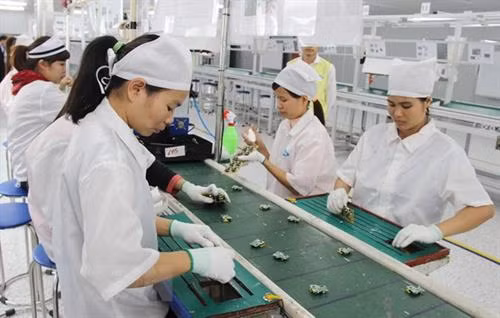 附图。图自越通社 附图。图自越通社