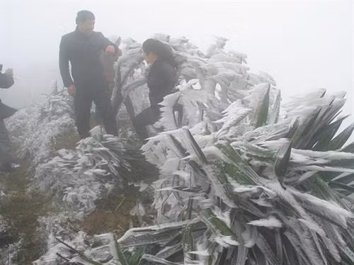参观母山旅游景区的游客们。（图片来源于互联网）