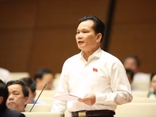 清化省国会代表裴士利发表讲话。（图片来源：越通社）