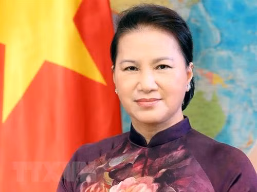 附图:国会主席阮氏金银。图自越通社 附图:国会主席阮氏金银。图自越通社