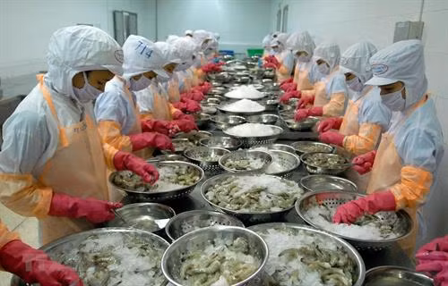 附图 图自越通社
