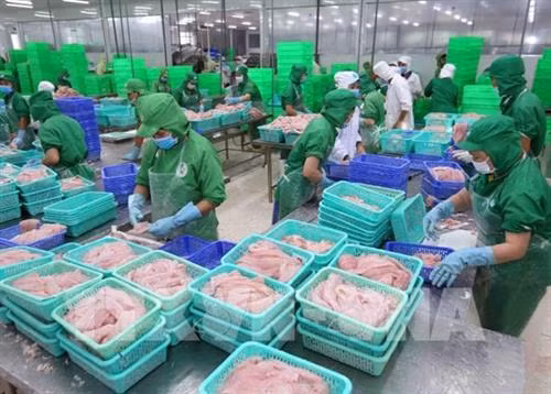 资料图。图自越通社