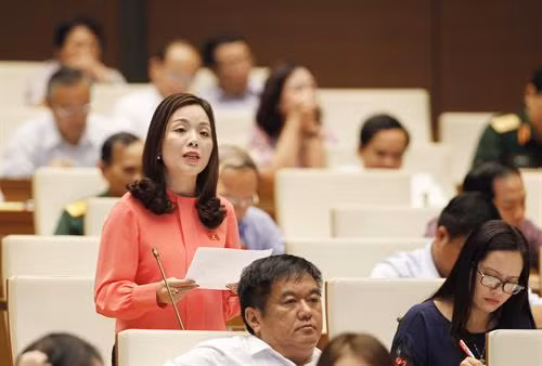 国会代表。（图片来源：越通社）