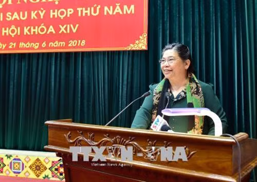 国会常务副主席丛氏放发表讲话。（图片来源：越通社）