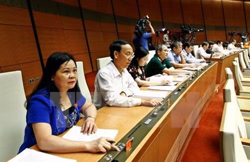 国会代表。(图片来源:越通社) 国会代表。(图片来源:越通社)