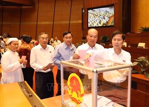 国会代表现场投票。图自越通社