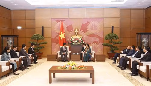 越南国会常务副主席丛氏放会见日本医疗专家团。 图自越通社 越南国会常务副主席丛氏放会见日本医疗专家团。 图自越通社