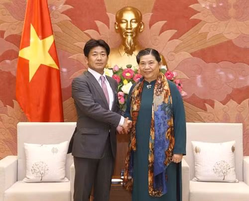 越南国会常务副主席丛氏放会见日本医疗专家团。 图自越通社 越南国会常务副主席丛氏放会见日本医疗专家团。 图自越通社