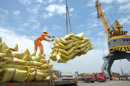 中国曾多年是越南大米最大的出口市场。图自互联网