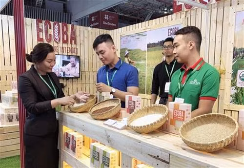 展会上的一间展位。图自越通社 展会上的一间展位。图自越通社