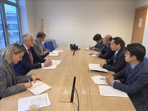 越南外交部副部长裴青山会见欧洲议会议长萨索利。图自越通社 越南外交部副部长裴青山会见欧洲议会议长萨索利。图自越通社