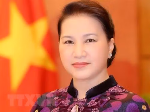 越南国会主席阮氏金银。图自越通社