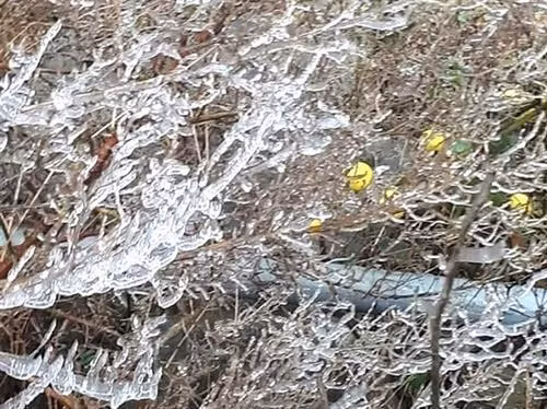 母山旅游景区出现寒冷天气。（图片来源于互联网）