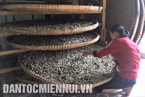 养蚕室需确保适合温度,窗口和门口安装网帘和网门,确保空气流通和昆虫进入。记者 科张 摄 养蚕室需确保适合温度,窗口和门口安装网帘和网门,确保空气流通和昆虫进入。记者 科张 摄