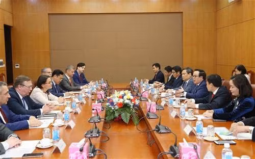 越共中央委员,中央对外部部长黄平军同匈牙利代表团举行会谈。图自越通社 越共中央委员,中央对外部部长黄平军同匈牙利代表团举行会谈。图自越通社