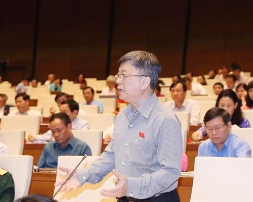 胡志明市国会代表发表意见。图自越通社 胡志明市国会代表发表意见。图自越通社