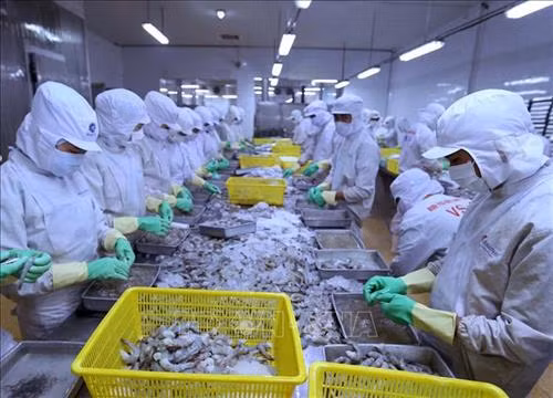 2019年前9个月,越南与以色列双向贸易额达7.9亿美元。图自互联网 2019年前9个月,越南与以色列双向贸易额达7.9亿美元。图自互联网