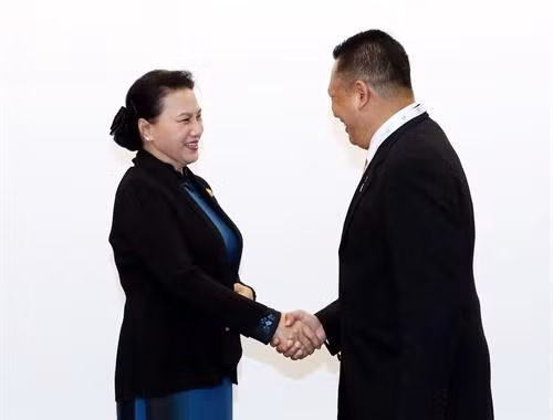 国会主席阮氏金银会见印尼国会议长庞邦·苏萨迪欧。越通社记者 仲德 摄