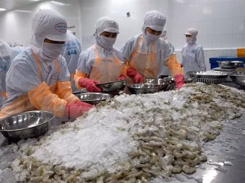 坚江省提高出口产品的竞争力 ảnh 1 坚江省提高出口产品的竞争力 ảnh 1
