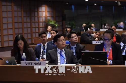 越南外交部副部长何金玉。(图片来源:越通社) 越南外交部副部长何金玉。(图片来源:越通社)
