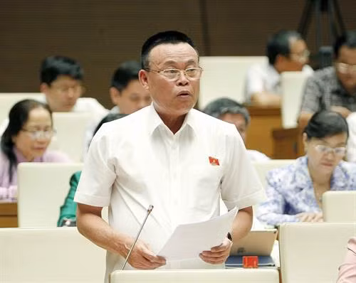 北宁省国会代表在会上发言。（图片来源：越通社）