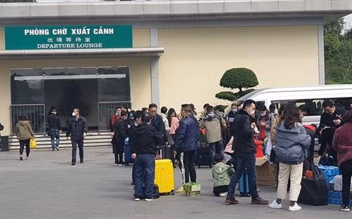 附图。图自互联网 附图。图自互联网