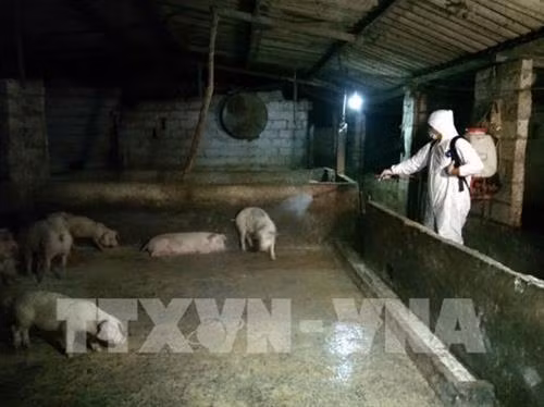 资料图。图自因特网