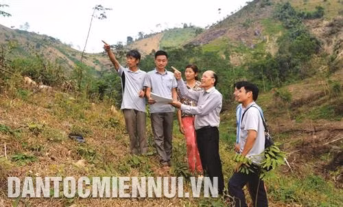 安山县中山乡干部向少数民族同胞移交土地和林地。 中山县同木乡忙族人吴文庆夫妻俩靠造林而脱贫。