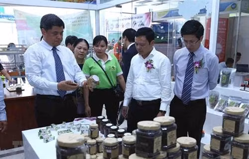 各代表参观展会上展示的产品。图自越通社