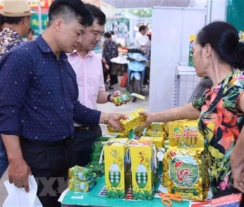 各代表参观展会上展示的产品。图自越通社