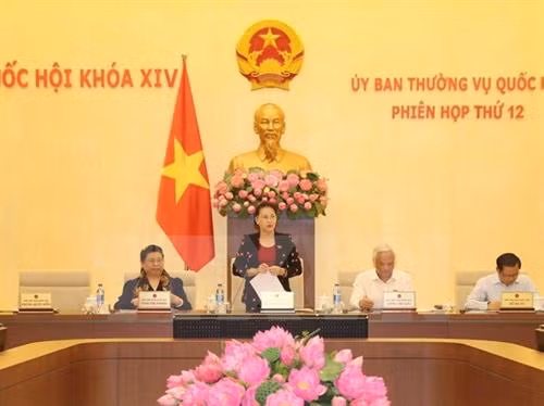 国会主席阮氏金银在会议上发表讲话。(图片来源:越通社) 国会主席阮氏金银在会议上发表讲话。(图片来源:越通社)