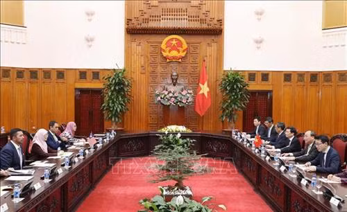 会见场景。图自越通社