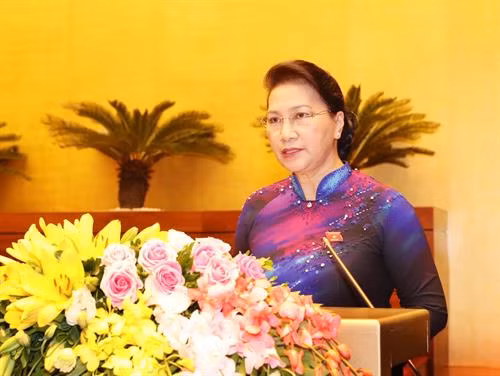 国会主席阮氏金银发表讲话。(图片来源:越通社) 国会主席阮氏金银发表讲话。(图片来源:越通社)