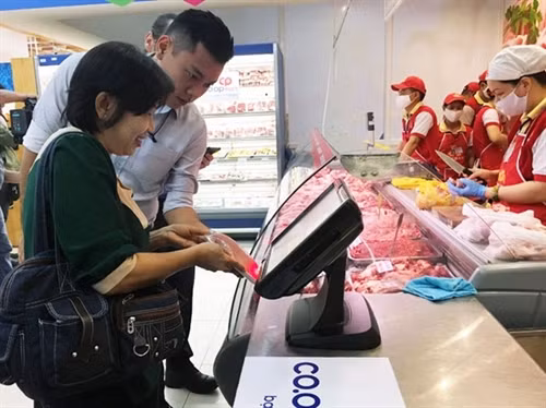 附图。（图片来源：越通社）