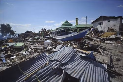 地震和海啸造成严重的后果。图自越通社 地震和海啸造成严重的后果。图自越通社