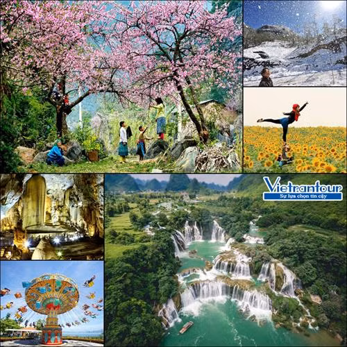越南春节旅游市场步入旺季 。图自互联网