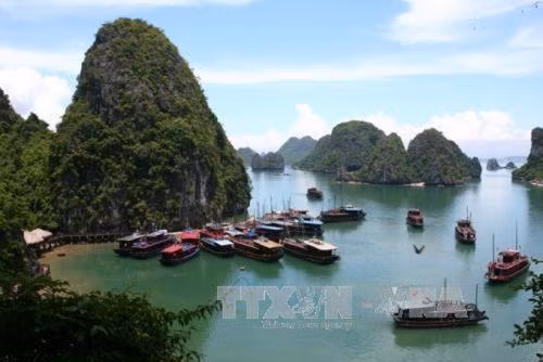 下龙湾风景。（图片来源：越通社）