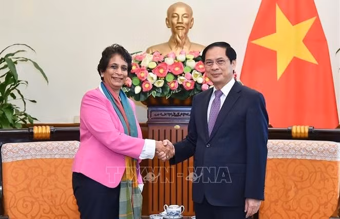 越南外长裴青山会见联合国开发计划署亚太区域局主任坎尼
