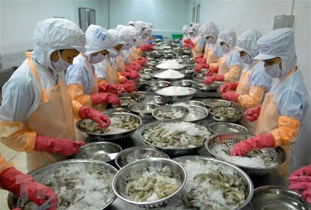 力争至2045年越南跻身世界三大水产品出口国名单