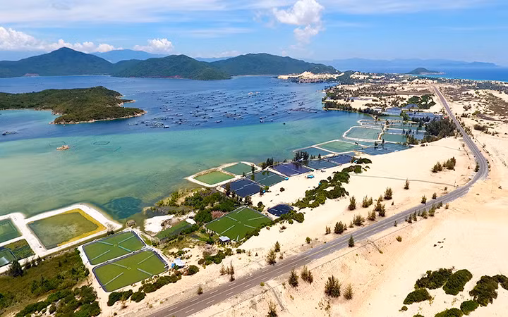 将云峰建设成为沿海经济区